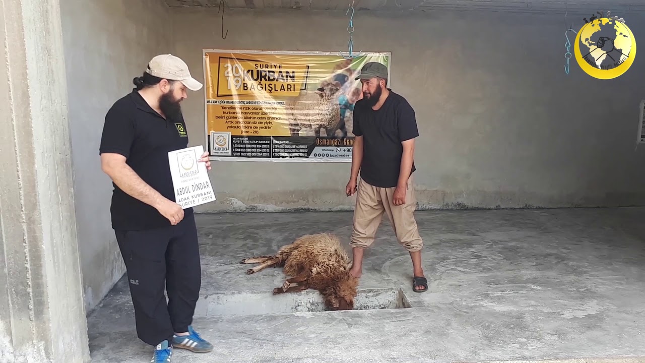 TAHLİYE OLAN OĞLU İÇİN İDLİB'DE ADAK KURBANI