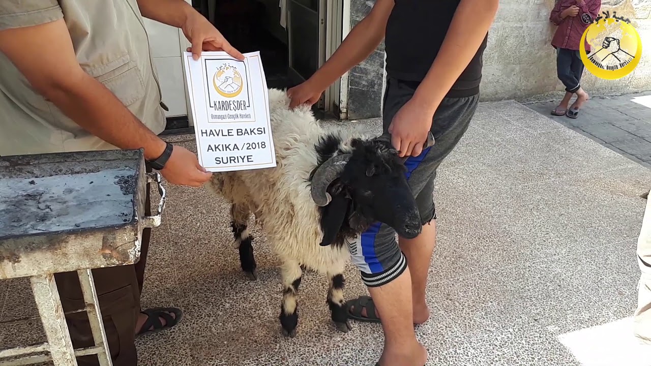İDLİB AKİKA KURBANI:  HAVLE BAKSI