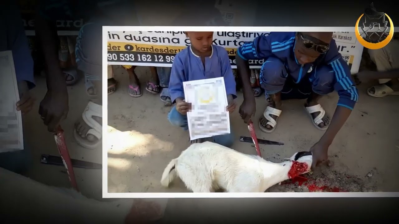 KURBAN, KARA KITANIN İNCİLERİYLE PAYLAŞINCA GÜZEL