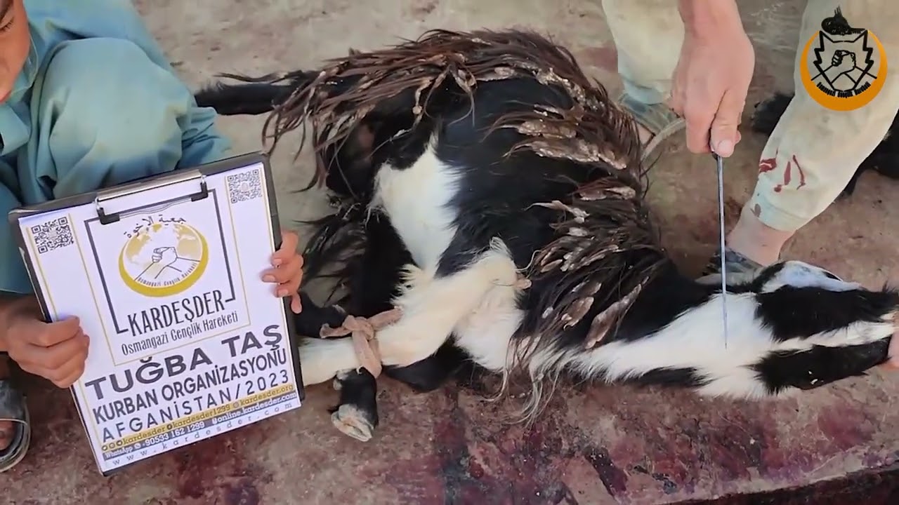 AFGANİSTAN'DAKİ KARDEŞLERİNLE KURBANINI PAYLAŞ, BİR İYİLİĞE VESİLE OL