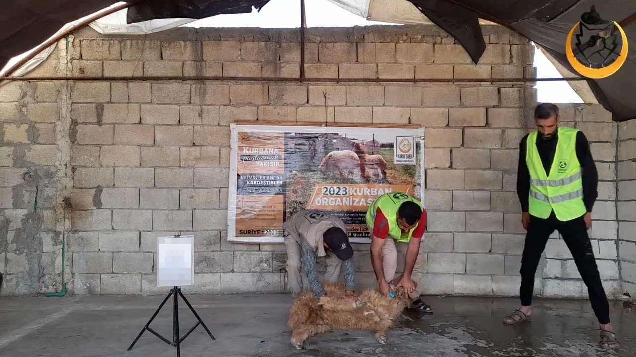 PAYLAŞ KURBANINI SURİYELİ KARDEŞİNLE