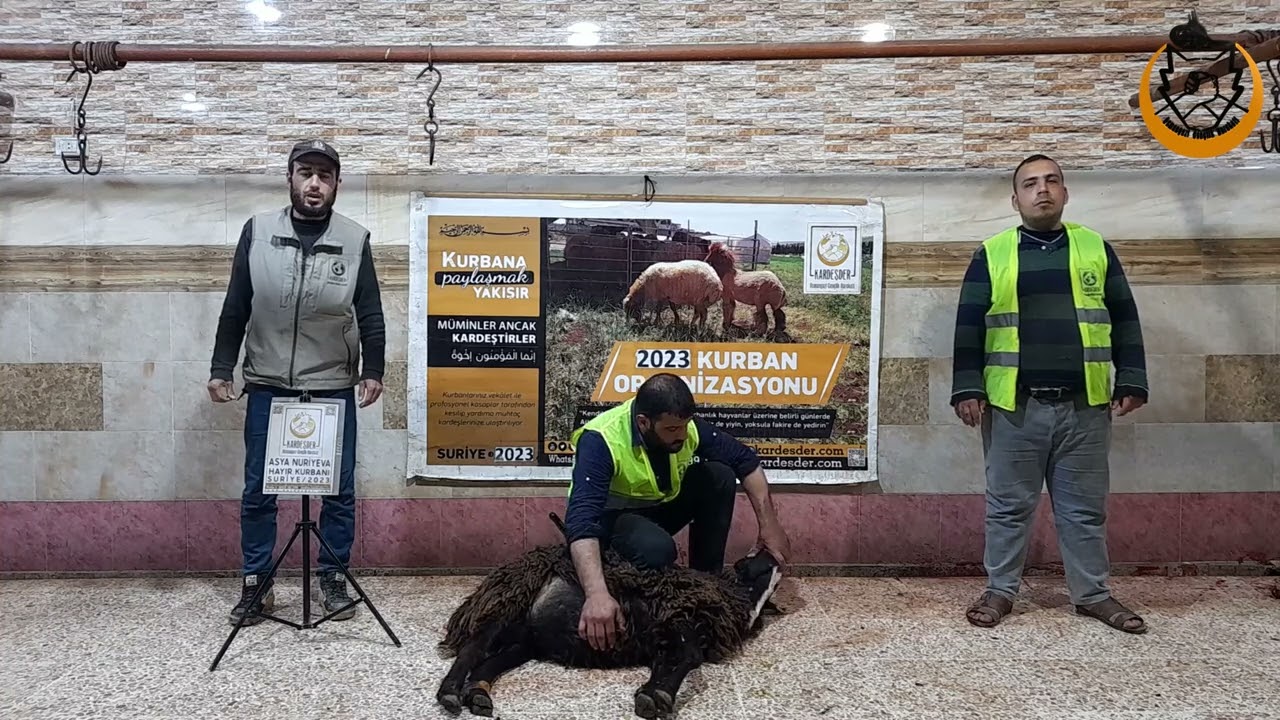 İDLİB'DE HAYIR KURBANI KESİMLERİMİZ SÜRÜYOR