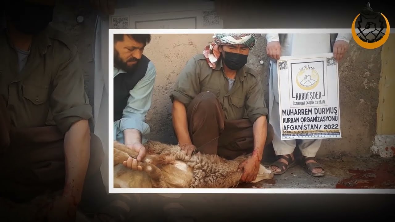SEN DE AFGAN KARDEŞLERİNE BİR KURBAN GÖNDER