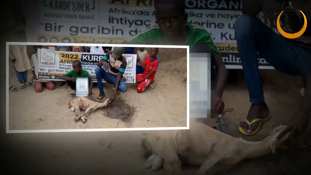 HAYIR KURBANLARINIZI AFRİKA'DA KESMEYE DEVAM EDİYORUZ
