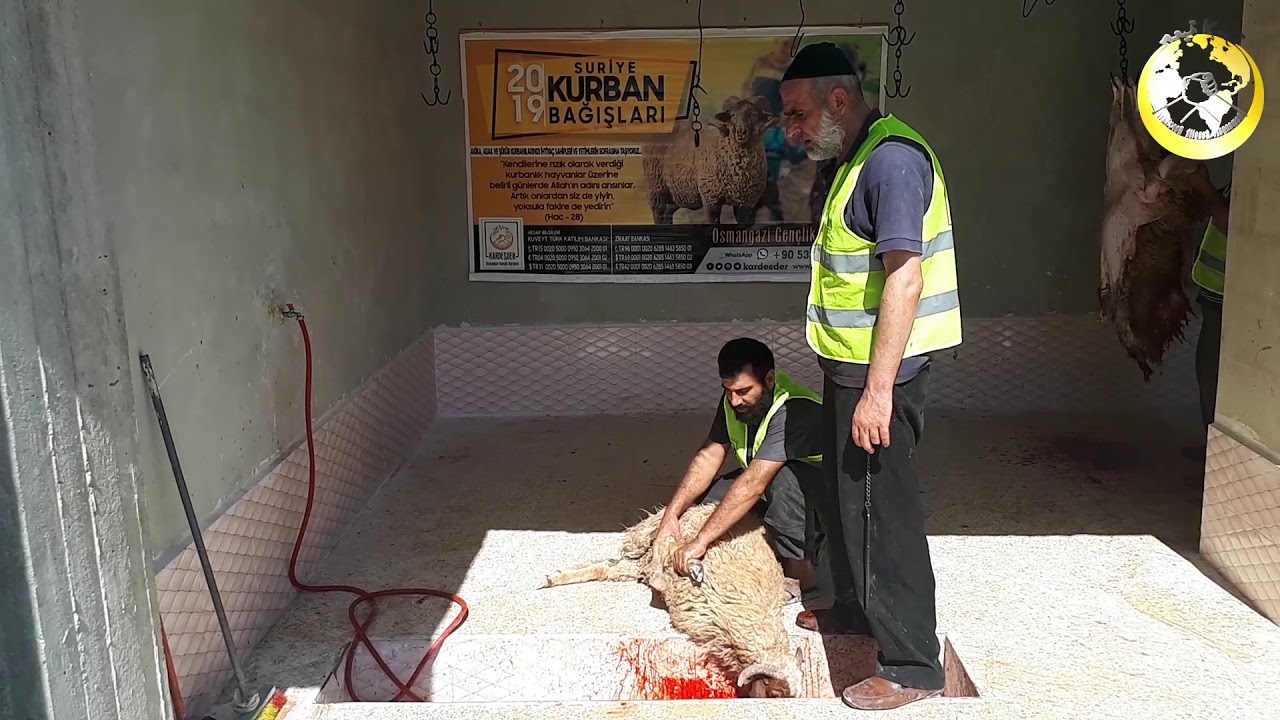 BİROL DEĞİRMENCİ : 2019 Suriye Kurban Organizasyonu