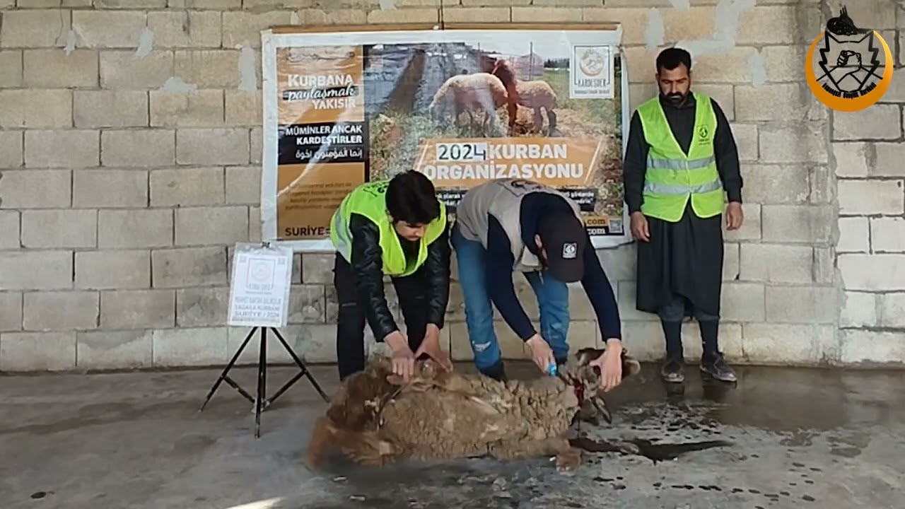 KURBAN BAĞIŞLARINIZI, SURİYE'DEKİ MAZLUM KARDEŞLERİMİZE ULAŞTIRIYORUZ