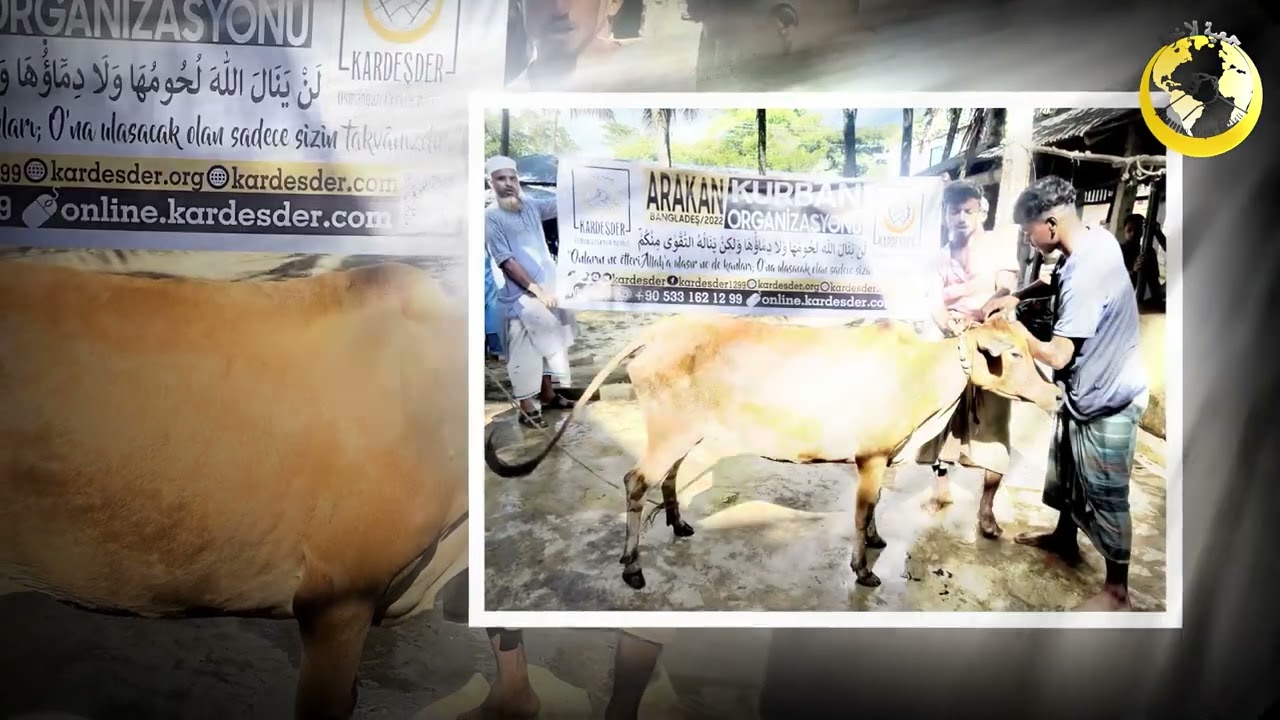 ARAKANLI KARDEŞLERİNE BİR KURBAN DA SEN BAĞIŞLA