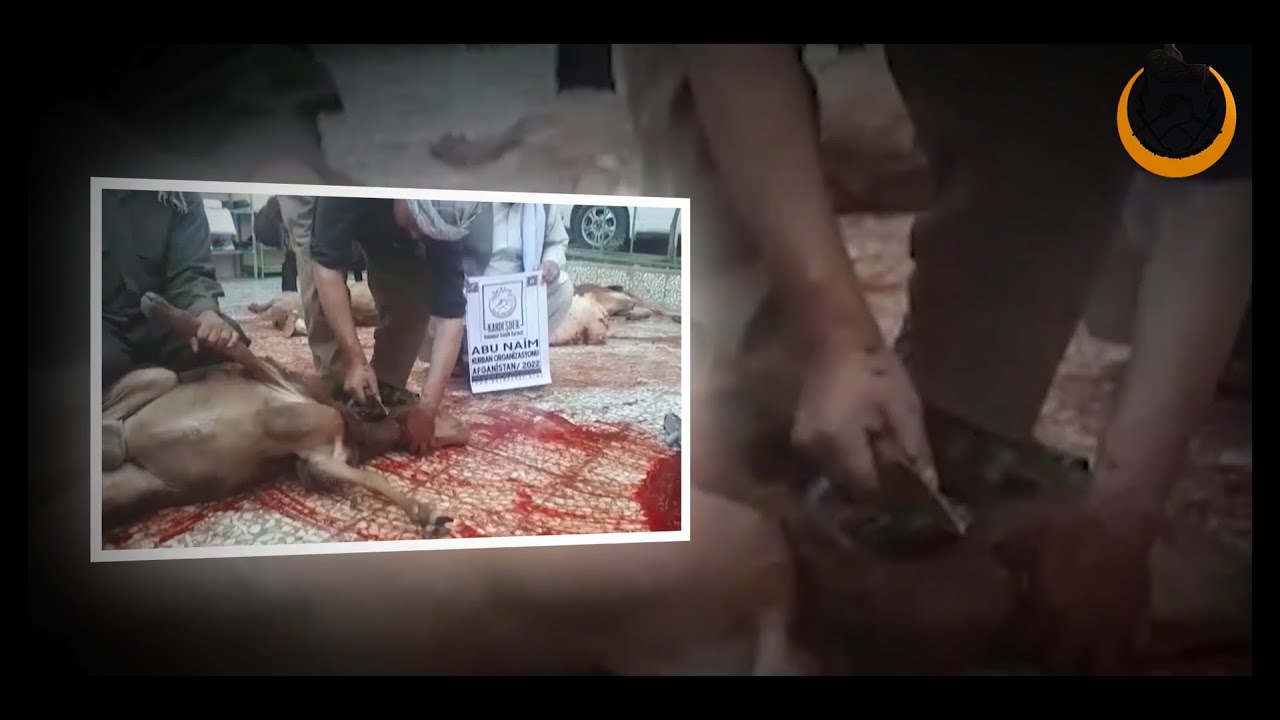 AFGAN KARDEŞLERİNE SEN DE BİR KURBAN GÖNDER