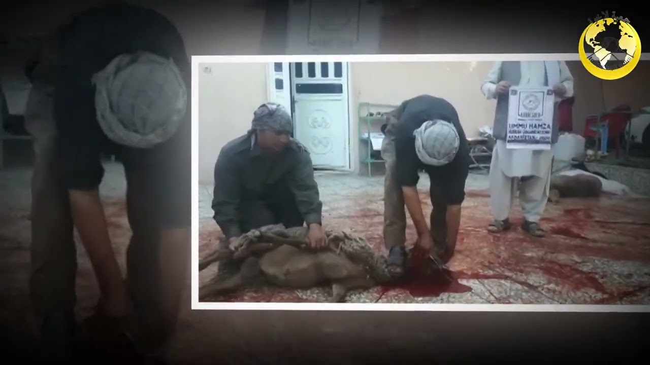 AFGANİSTAN'DAKİ KARDEŞLERİNE SEN DE BİR KURBAN GÖNDER