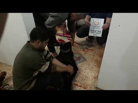 Suriye'de hayır kurbanı kestirmek ister misiniz?