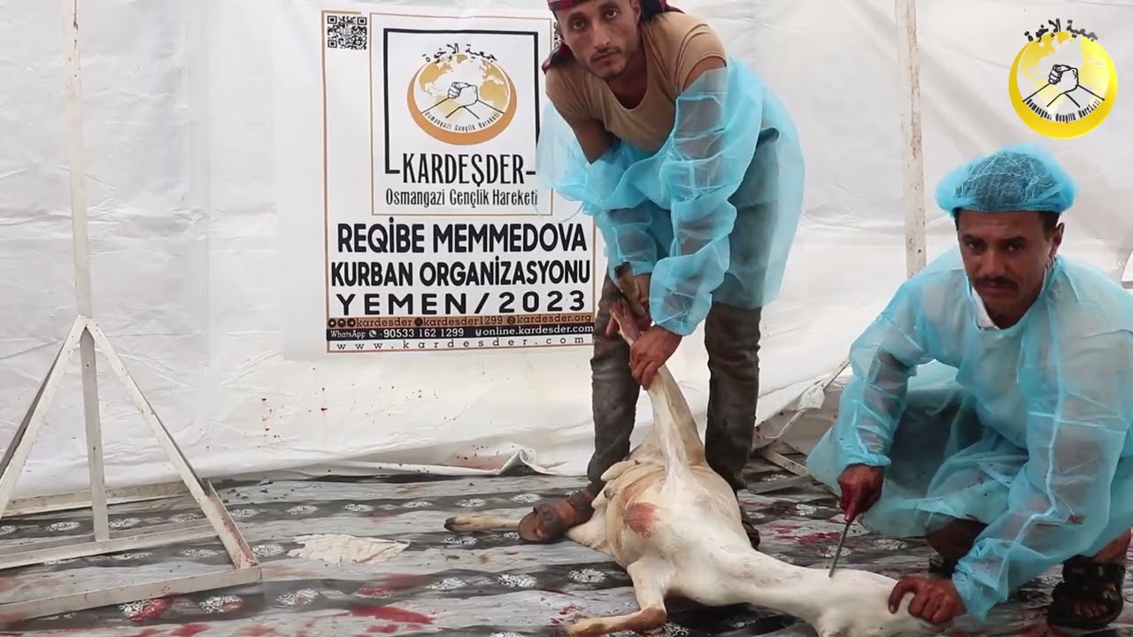 KURBAN BAĞIŞIN İLE GÖNÜLLERE DOKUN, GÖNÜLLER KAZAN