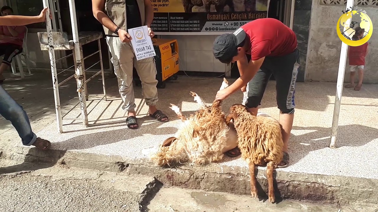 İDLİB AKİKA KURBANI:  ENSAR TAŞ