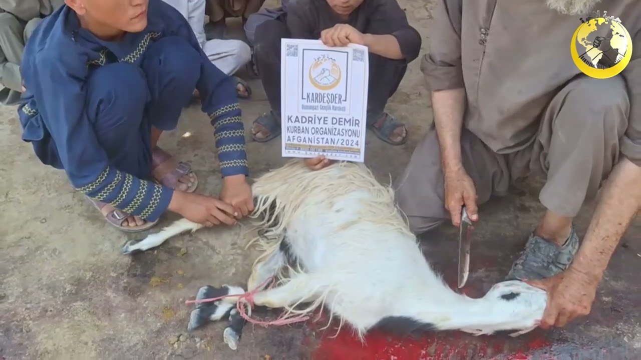 2024 AFGANİSTAN KURBAN ORGANİZASYONU: KADRİYE DEMİR