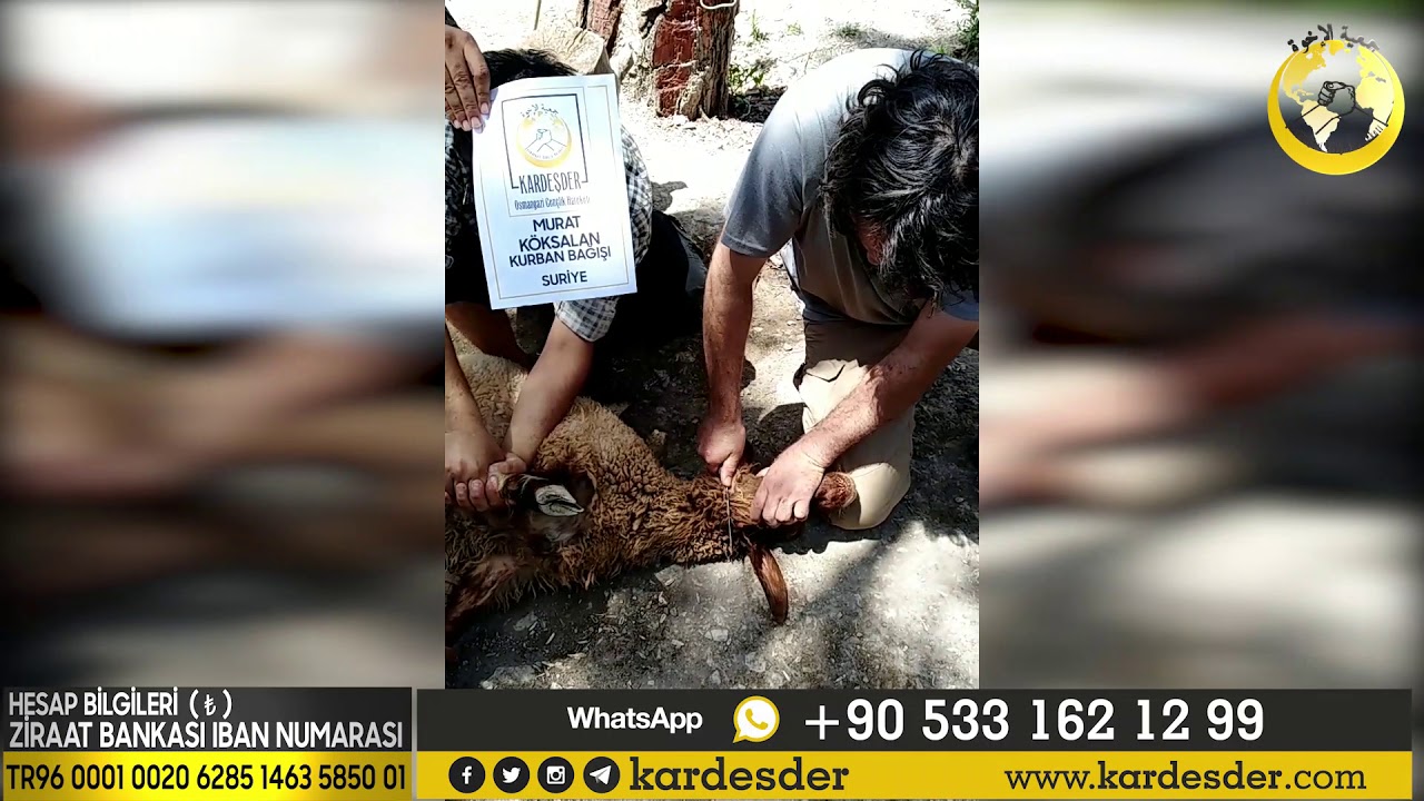 TÜRKMEN DAĞI HAYIR KURBANI
