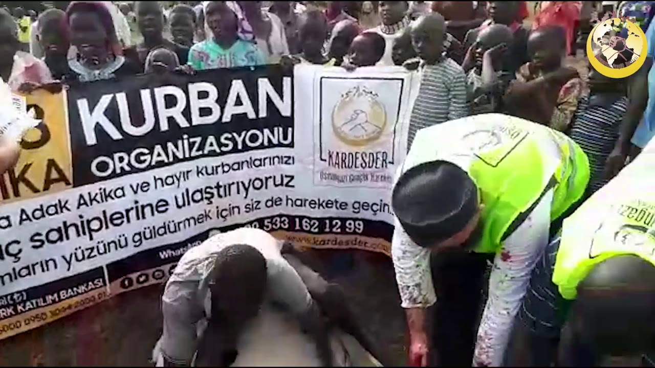 Afrika'da kurbanlarımız kesildi