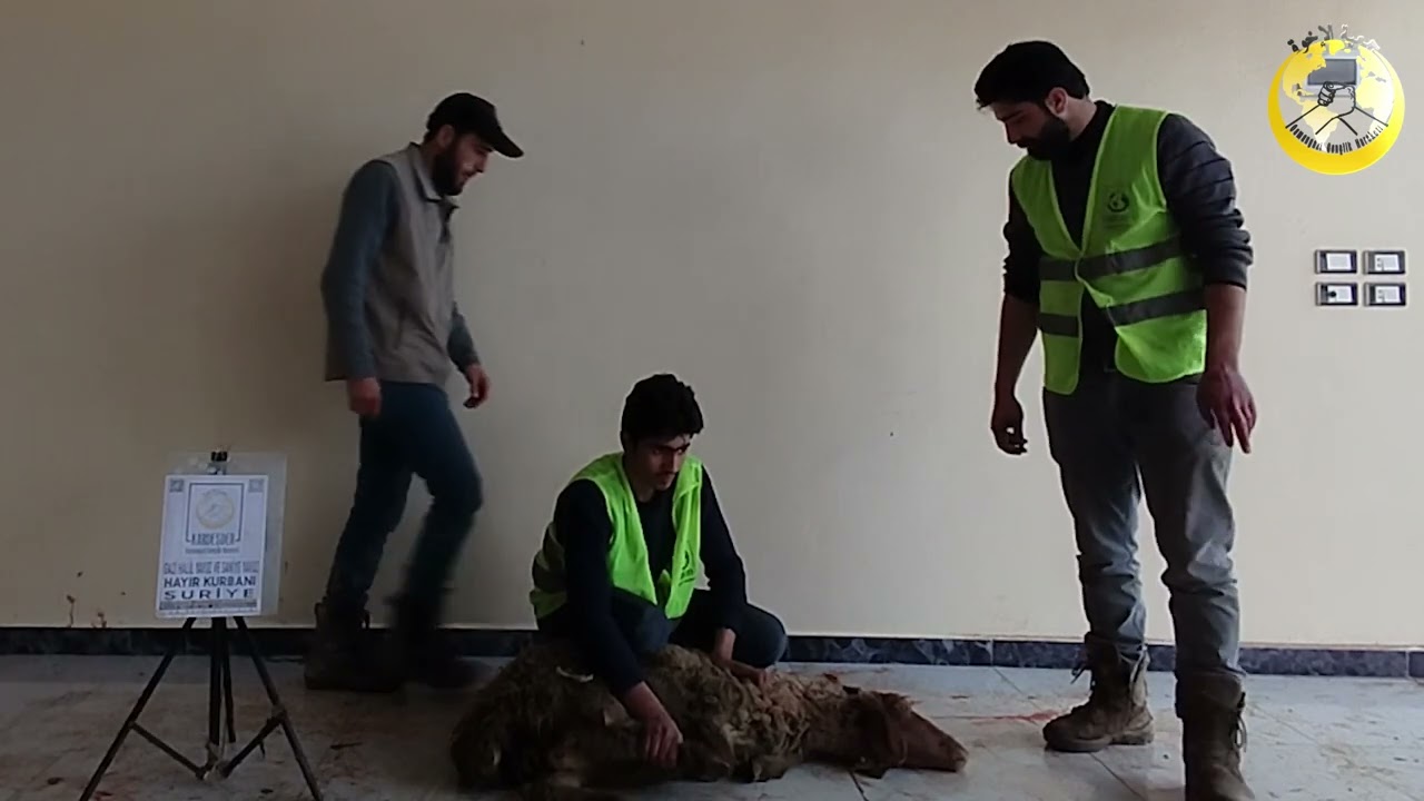 İDLİB'TE KURBAN KESİMLERİMİZ DEVAM EDİYOR