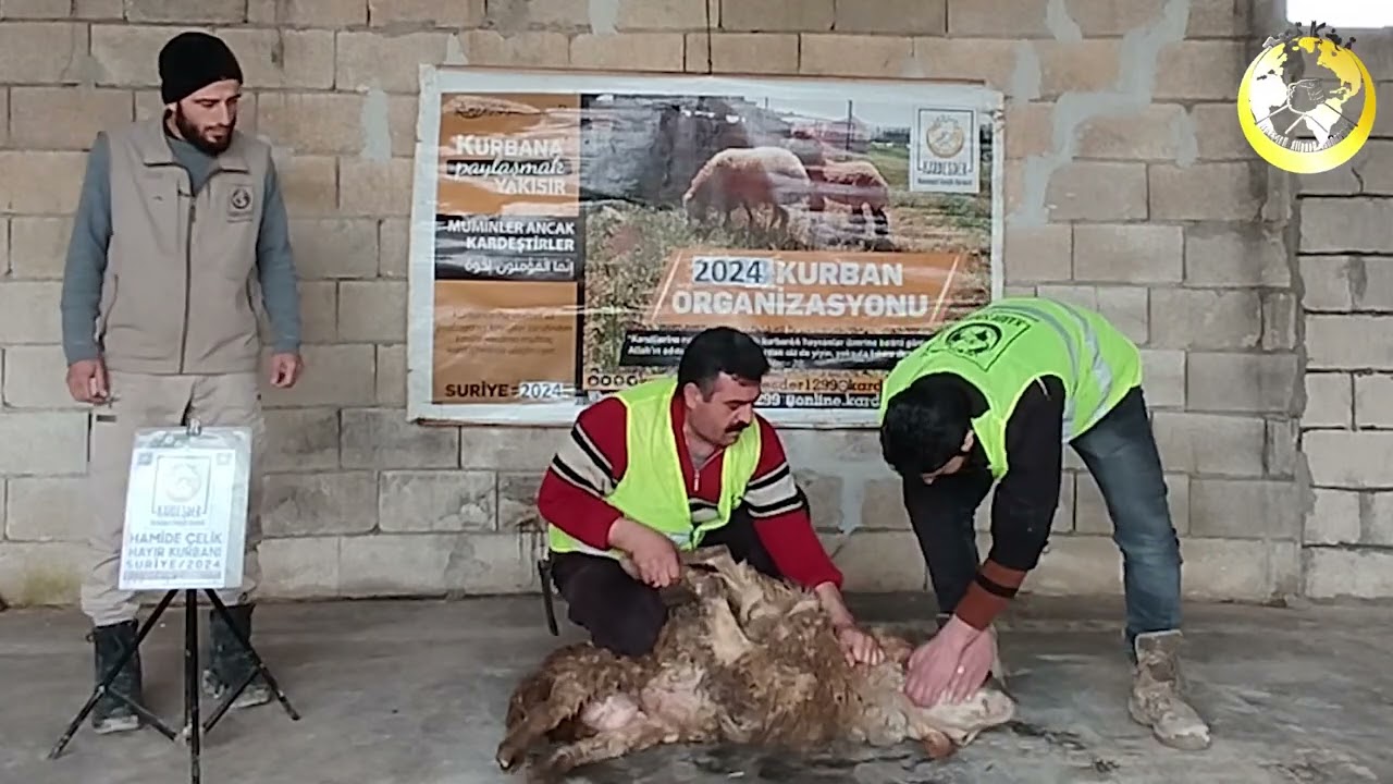 İDLİB'DE İYİLİĞİN GÜCÜ: KURBAN BAĞIŞLARINIZ SAYESİNDE YETİMLERİN YÜZÜ GÜLÜYOR