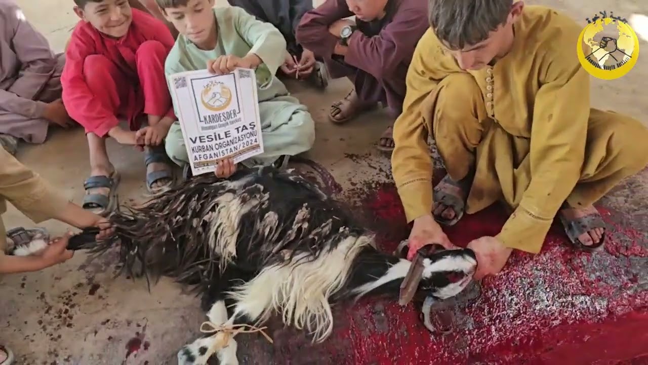 2024 AFGANİSTAN KURBAN ORGANİZASYONU: VESİLE TAŞ