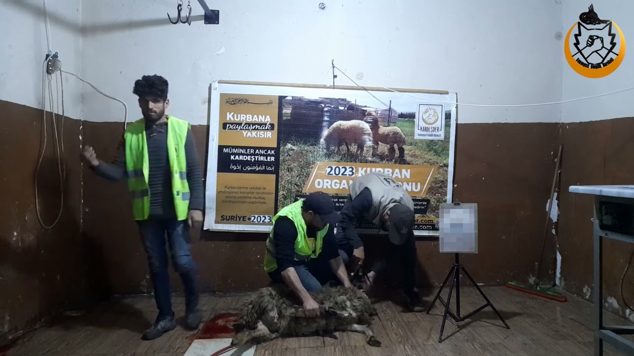 KURBAN ETLERİ, YETİMLERİMİZİN ELİNDE GÜZEL