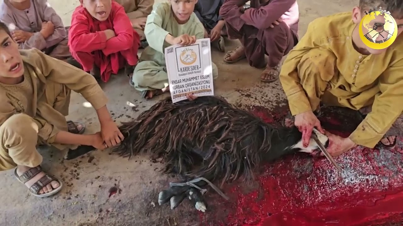 2024 AFGANİSTAN KURBAN ORGANİZASYONU: ENSAR MUHAMMET ESLEM