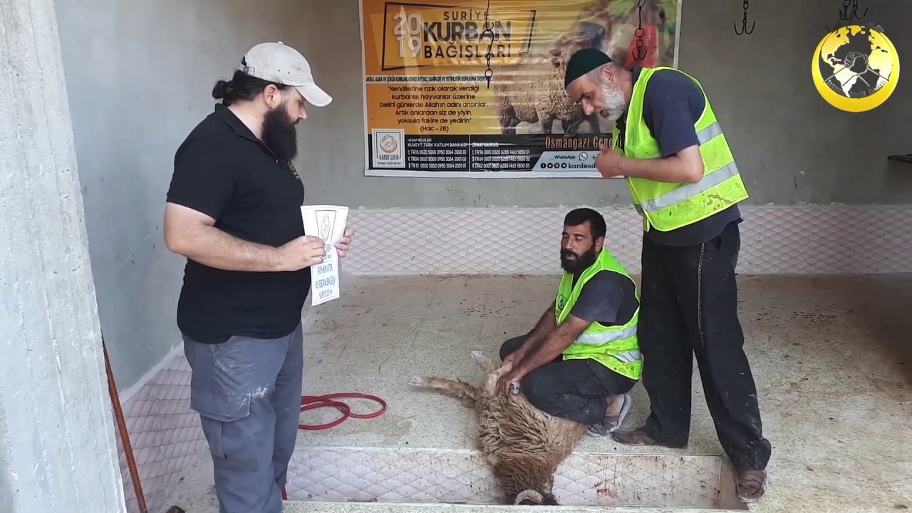 AYHAN ATİK: 2019 Suriye Kurban Organizasyonu