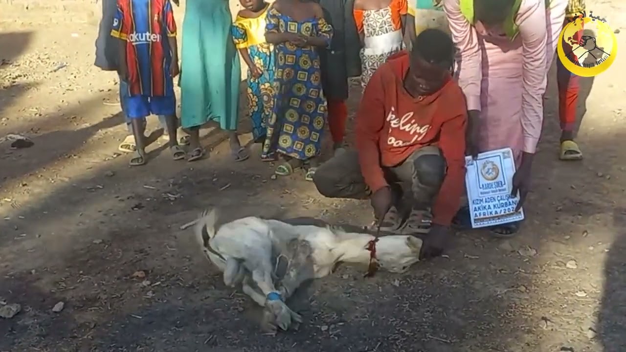 AFRİKA'YA SEVGİ ELİ: KURBAN BAĞIŞI