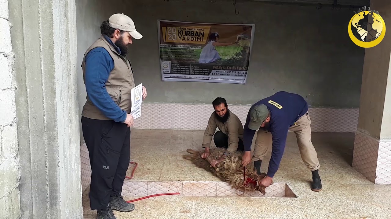 AKİKA, ADAK, HAYIR ve ŞÜKÜR KURBANLARINIZI MAZLUMLARA ULAŞTIRIYORUZ
