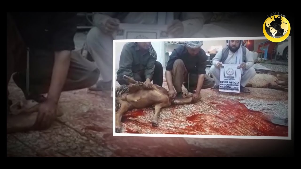 AFGAN KARDEŞLERİNİZE KURBAN BAĞIŞLAMAK İSTER MİYDİNİZ?