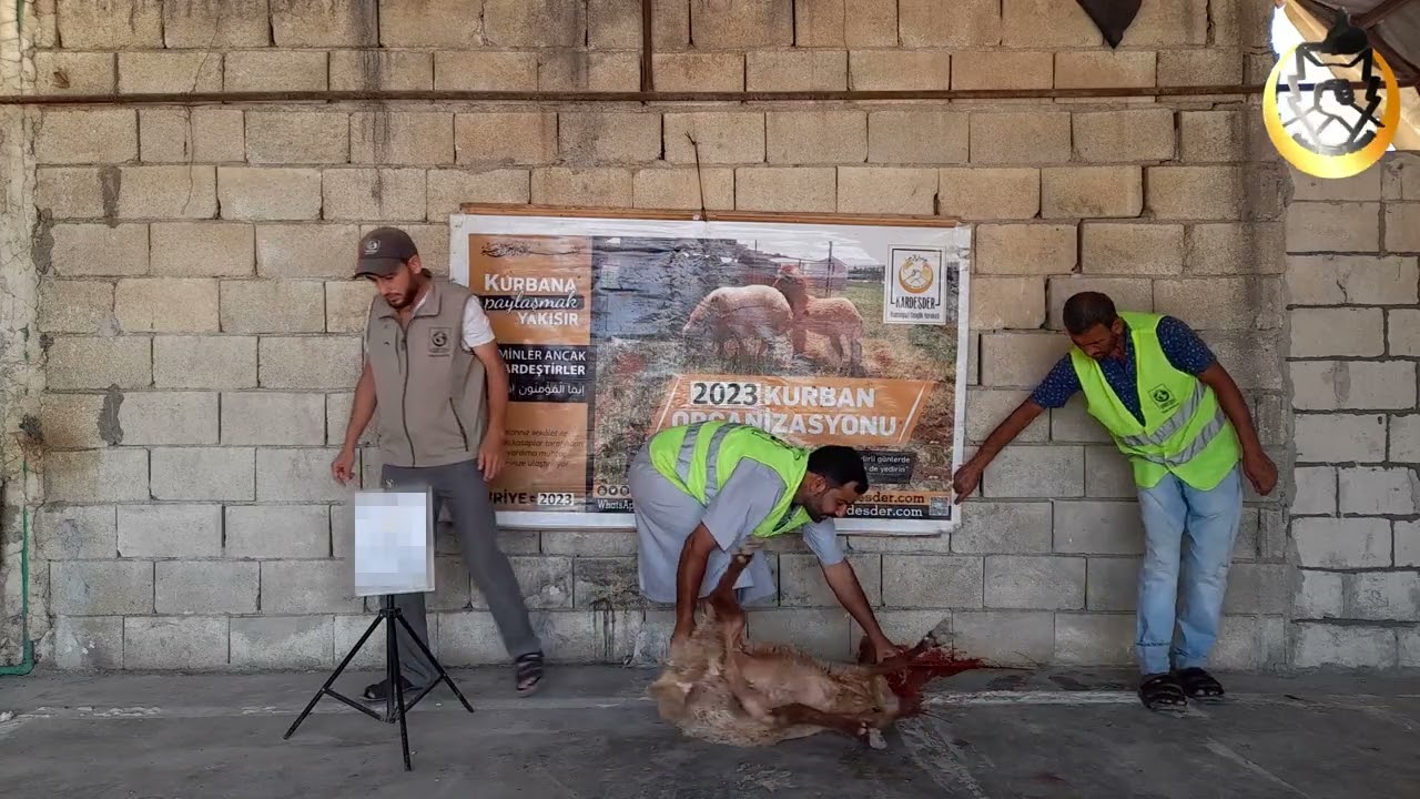 KURBAN SURİYE'DE ŞÜKÜR