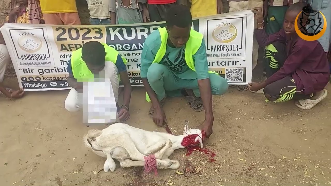 KURBAN, AFRİKALI KARDEŞLERİNE UMUT OLSUN