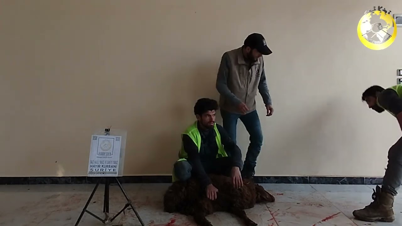 KURBAN BAĞIŞLARINIZ DEMEK BEREKET DEMEK