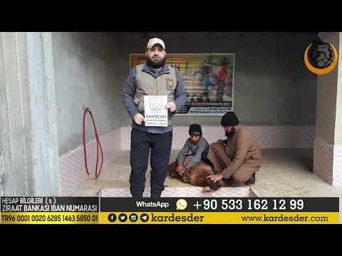 AKİKA KURBANLARI İLE İDLİB'E DESTEK OLUYORLAR