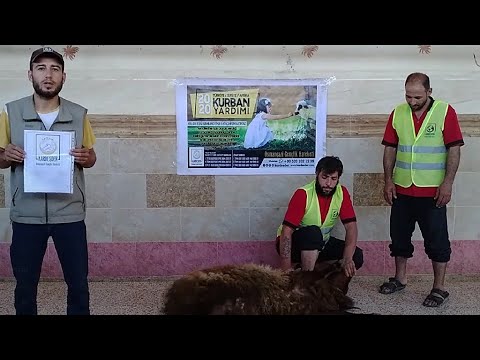 KURBAN ETLERİNİZİ İDLİB'İN YETİMLERİNE ULAŞTIRIYORUZ