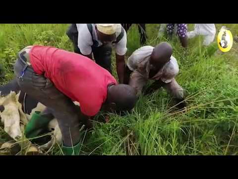 KARDEŞDER 2019 Afrika Kurban Organizasyonu -2
