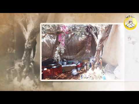 Zeytinliklerde yaşamak zorunda kalan halk yardımınıza muhtaç!