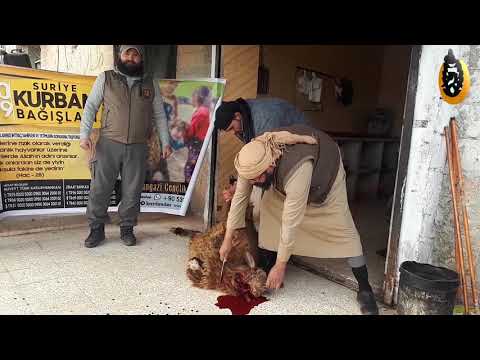AŞEVİ İÇİN ADAK KURBANI BAĞIŞI
