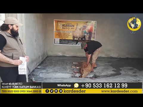 İDLİB AKİKA KURBANI BAĞIŞI