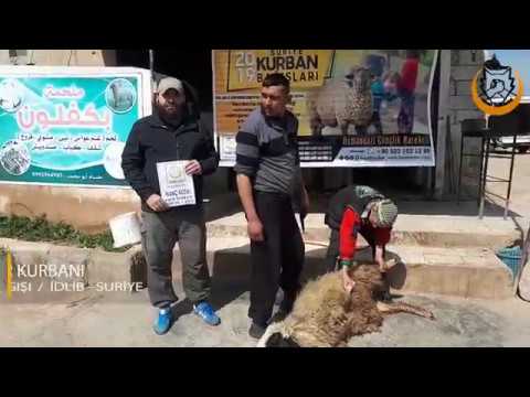 İDLİB HAYIR KURBANI İLE AŞEVİMİZE DESTEK
