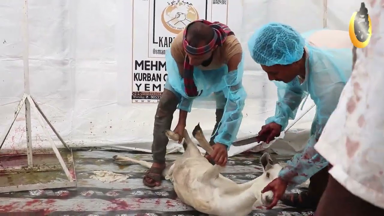 KURBAN YEMEN'DE KUCAKLAŞMAK DEMEK