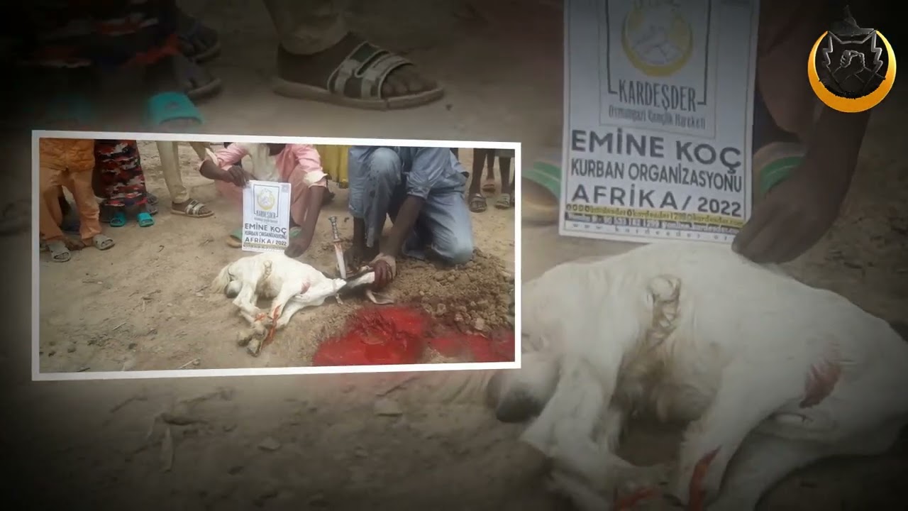 AFRİKA'NIN YETİMLERİ KURBAN BAĞIŞINIZI BEKLİYOR