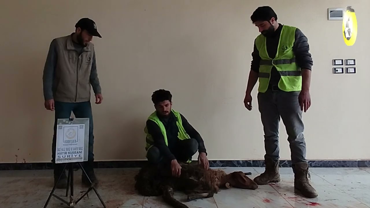 SURİYE'DE KURBAN BAĞIŞIN İLE İYİLİĞİ PAYLAŞ