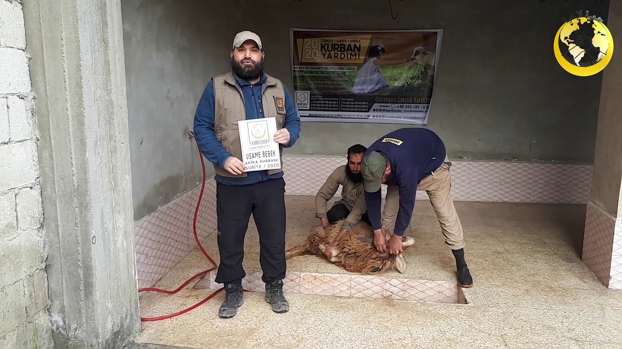 AKİKA KURBANLARINIZ YETİM VE ÖKSÜZLERE UMUT OLUYOR