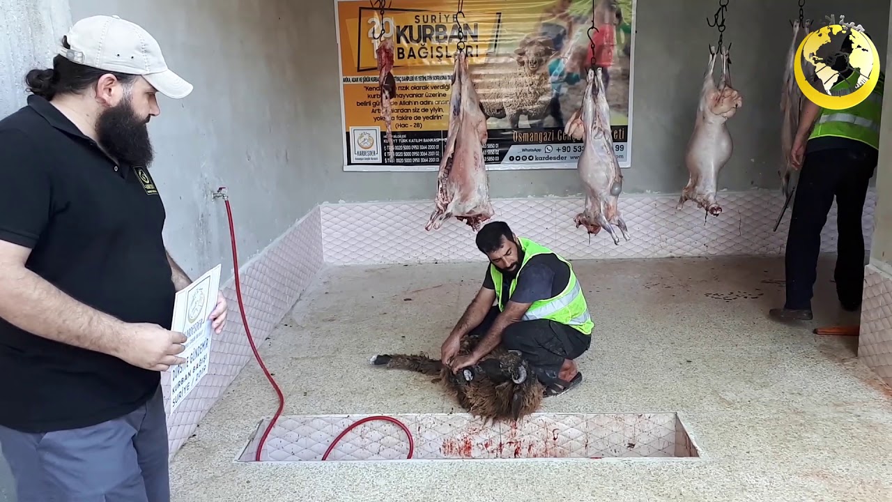 DURSİYE GÜNDEMİR : 2019 Suriye Kurban Organizasyonu