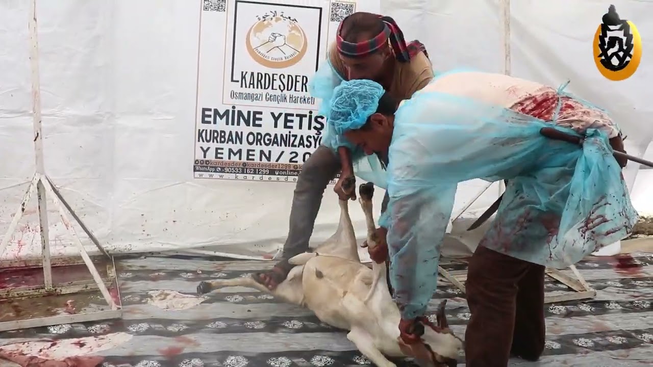 KURBANLARINIZ YEMEN'DEKİ KARDEŞLERİMİZE