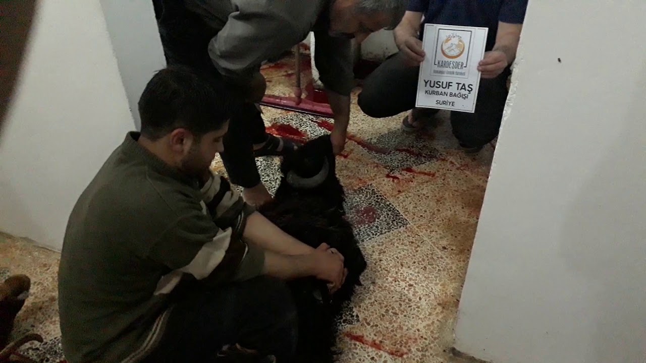 Suriye'de hayır kurbanı kestirmek ister misiniz?