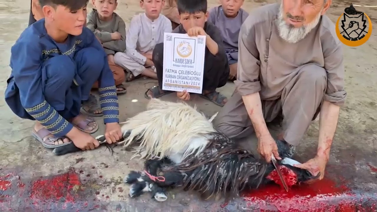 2024 AFGANİSTAN KURBAN ORGANİZASYONU: FATMA ÇELEBİOĞLU