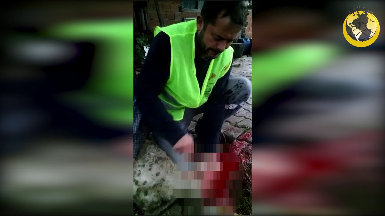 Hayır kurbanlarınız Türkiye'de de yetim ailelerini sevindiriyor