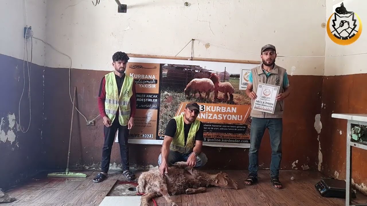 2023 SURİYE KURBAN ORGANİZASYONU: NECLA İMREN