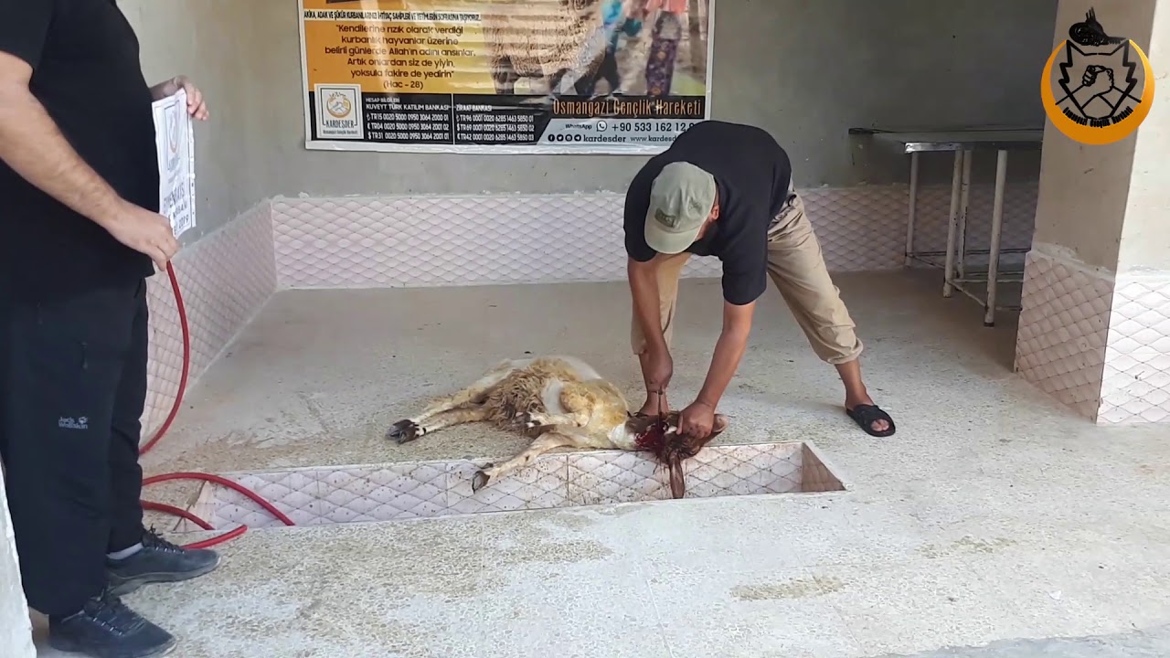 AKİKA KURBANLARINIZI SAVAŞ BELDELERİNDE KESİYORUZ