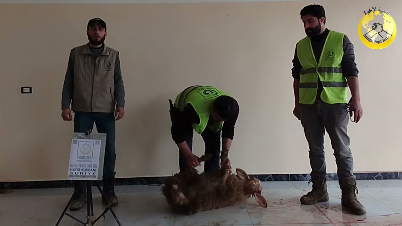 KURBAN BAĞIŞIN İLE İYİLİĞİ PAYLAŞ